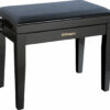 ROLAND RPB-220PE BANQUETTE PIANO REGLABLE NOIRE LAQUEE-1