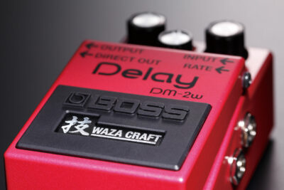 BOSS DM-2W PEDALE DELAY WAZA CRAFT-3