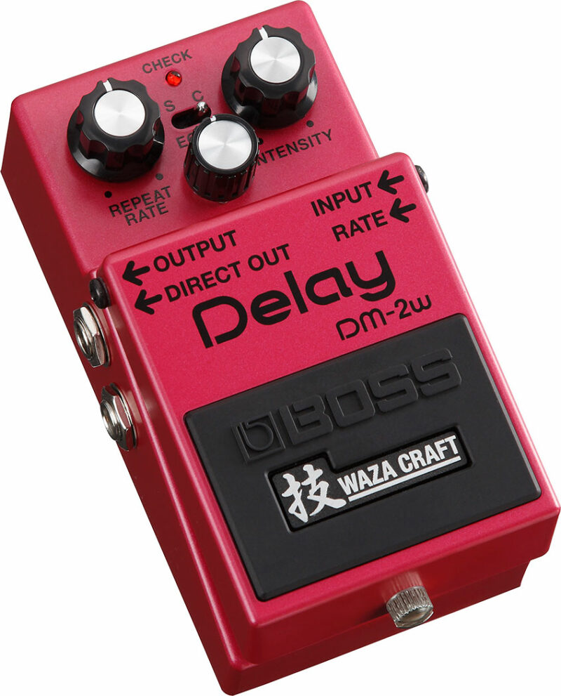 BOSS DM-2W PEDALE DELAY WAZA CRAFT-5