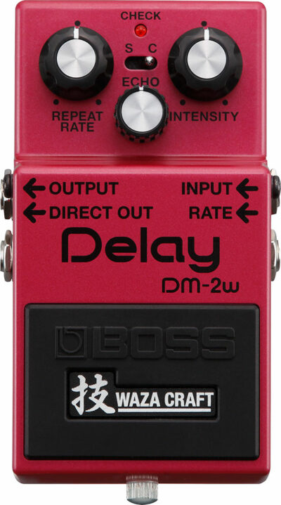 BOSS DM-2W PEDALE DELAY WAZA CRAFT-6