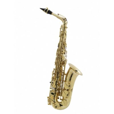 Selmer Saxophone Alto Axos Gg Complet