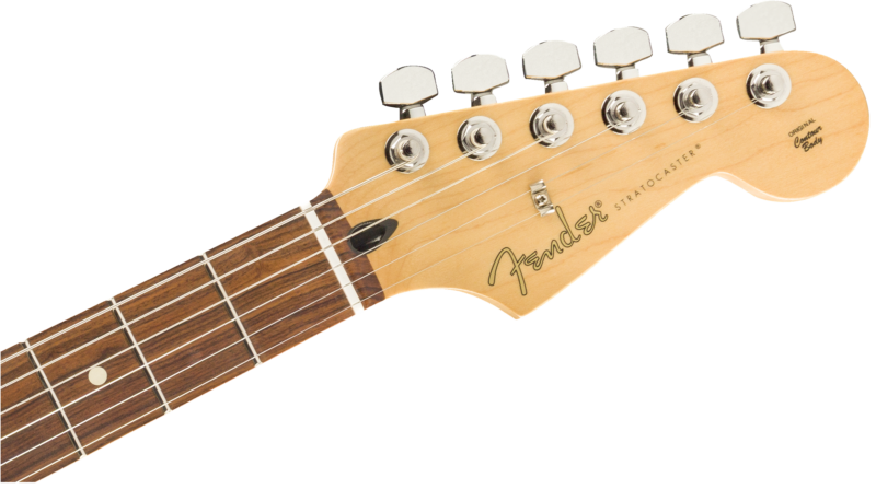 FENDER PLAYER STRATOCASTER PAU FERRO FINGERBOARD SILVER-2