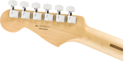 FENDER PLAYER STRATOCASTER PAU FERRO FINGERBOARD SILVER-1