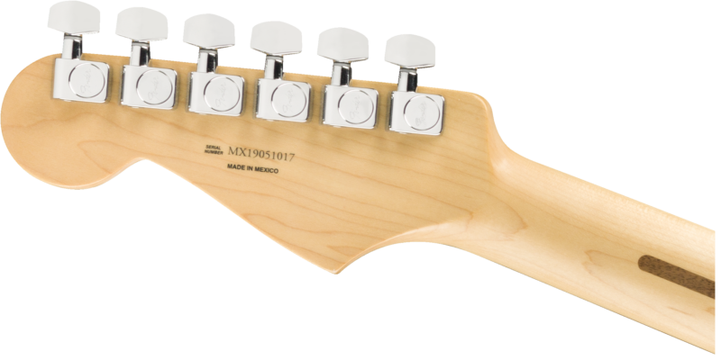 FENDER PLAYER STRATOCASTER PAU FERRO FINGERBOARD SILVER-1