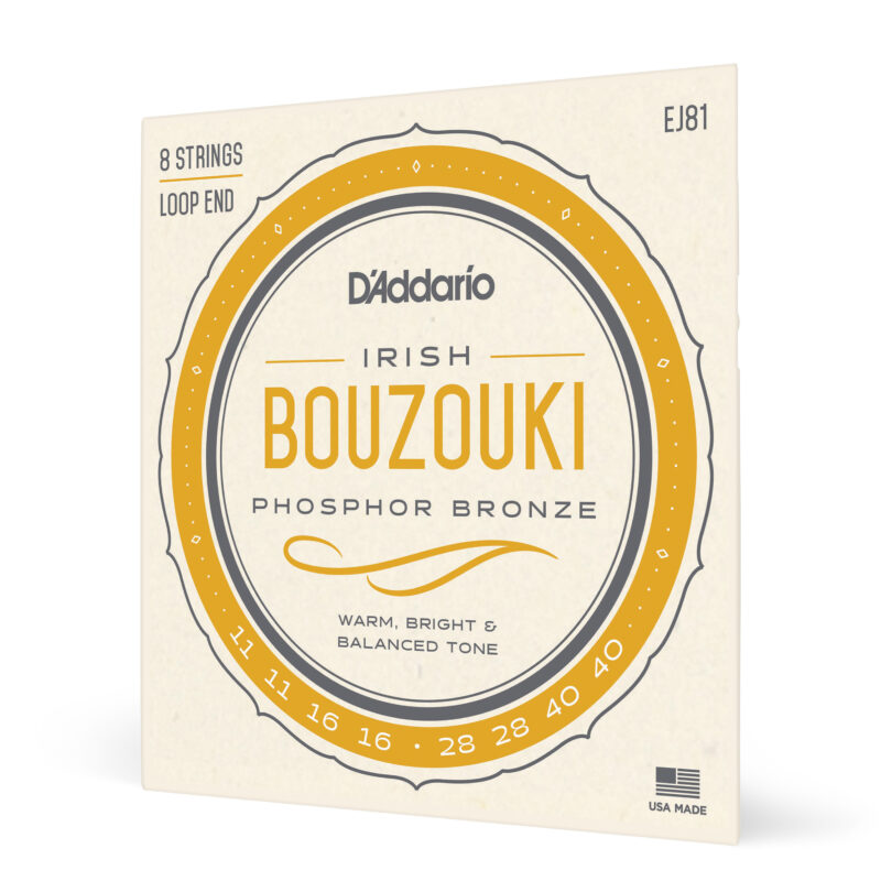 D'ADDARIO EJ81 IRISH BOUZOUKI-1