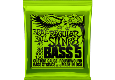 ERNIE BALL 2836 REGULAR SLINKY 5 CORDES 45-130-1