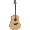 TAKAMINE GD20-NS DREADNOUGHT NATURAL SATIN-1