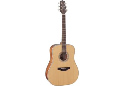 TAKAMINE GD20-NS DREADNOUGHT NATURAL SATIN-1