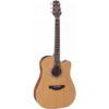 TAKAMINE GD20CE-NS NATURAL SATIN-1