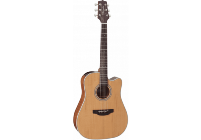 TAKAMINE GD20CE-NS NATURAL SATIN-1