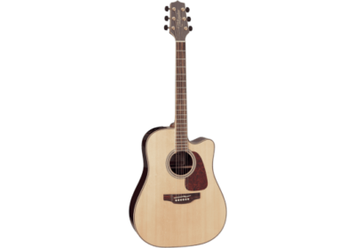 TAKAMINE GD93CE-NAT NATURAL-1