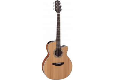 TAKAMINE GN20CE-NS NATURAL SATIN-1