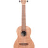 KALA KA-20C UKULELE CONCERT BURLED MERANTI-1