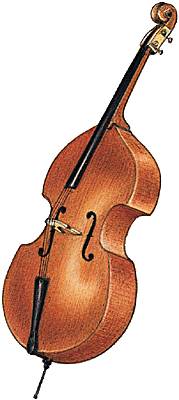 Contrebasses