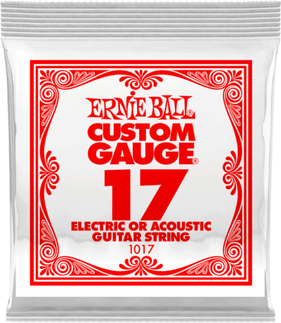 ERNIE BALL 1017 ELECTRIQUE/ACOUTIQUE 017-2