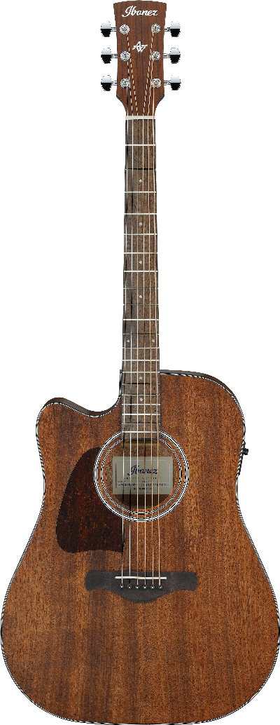 IBANEZ AW54LCE OPN GAUCHER-1