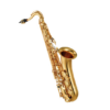 Yamaha Yts280 Saxophone Tenor D Etude Avec Embouchure Et Etui