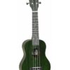 Tanglewood Tiare Twt1 Fg Cn