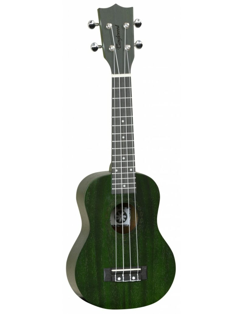 Tanglewood Tiare Twt1 Fg Cn