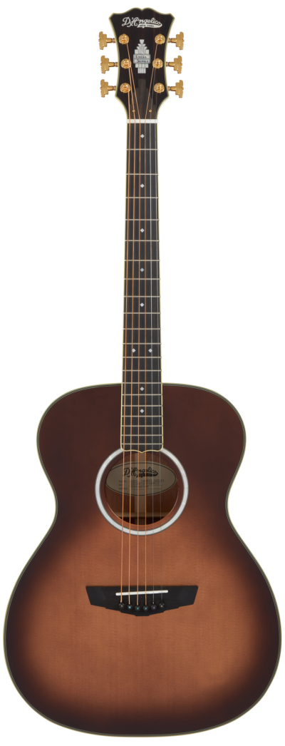 D Angelico Excel Tammany Autumn Burst