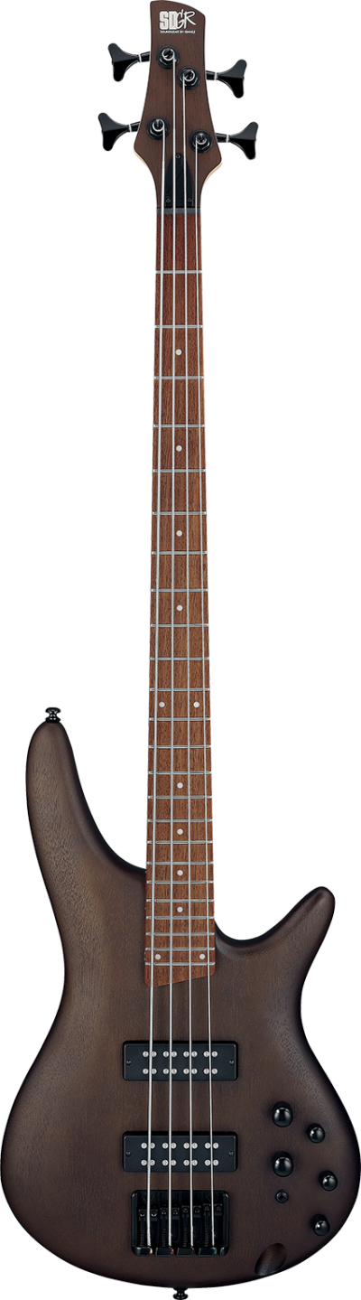 Ibanez Sr300eb Wnf Walnut Flat