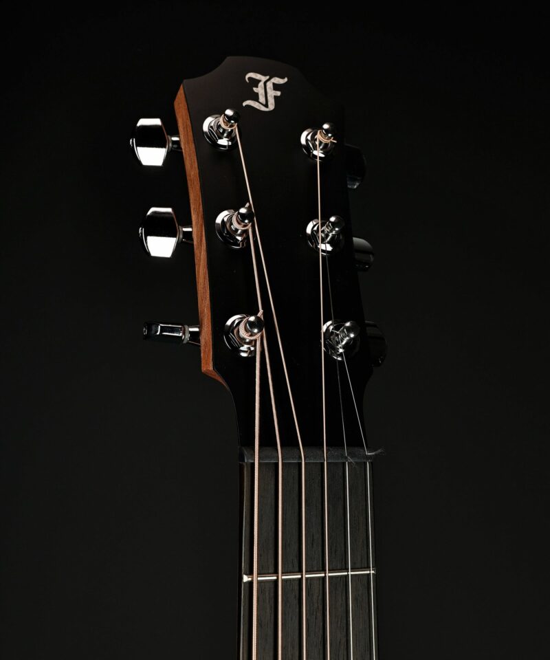 Furch Pioneer Cm Travel Body Cutaway