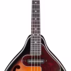 Ibanez M510e Bs Brown Sunburst