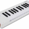 Arturia Microlab Mk3 Blanc 5