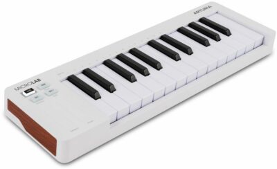 Arturia Microlab Mk3 Blanc 5
