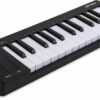 Arturia Microlab Mk3 Noir 4