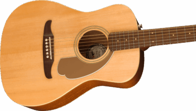 Fender Malibu Player Nat Wn 2