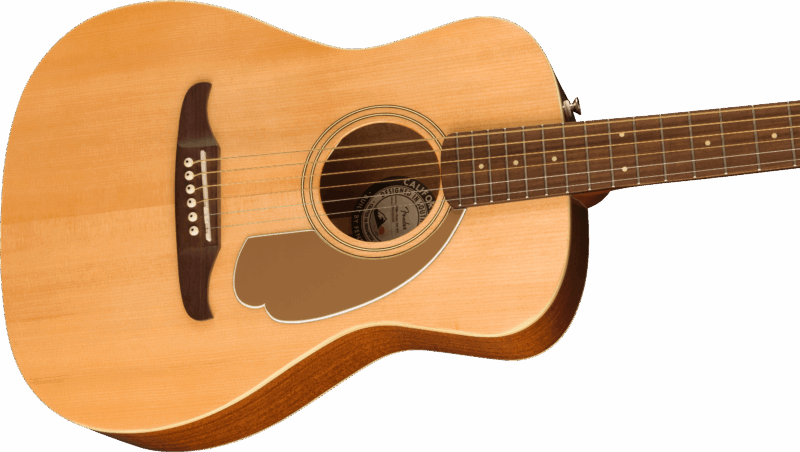 Fender Malibu Player Nat Wn 2