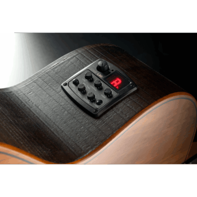 Lag Sauvage Bce Basse Electro Acoustique 2