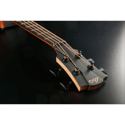 Lag Sauvage Bce Basse Electro Acoustique 3