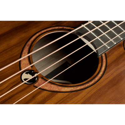 Lag Sauvage Bce Basse Electro Acoustique 4