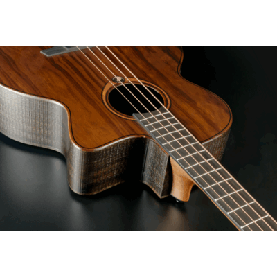 Lag Sauvage Bce Basse Electro Acoustique 6